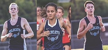 Trio of runners on to regionals 