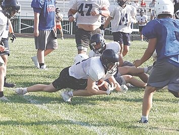 Cats tackle Panthers, humidity in scrimmage