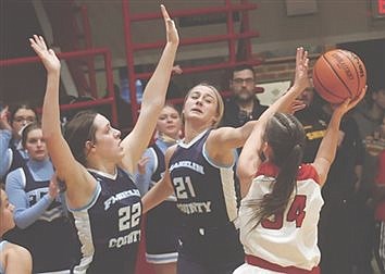 Lady Cats’ run halted by Lions