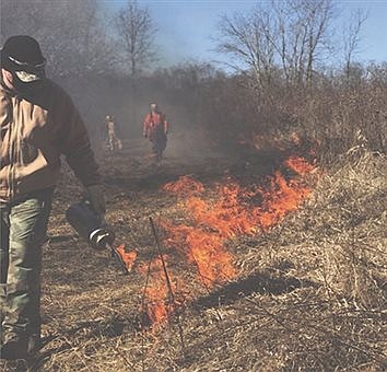 Hayes Arboretum and Purdue to Host Prescribed Fire Workshop