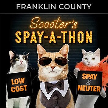 Affordable spay/neuter clinic coming to Franklin County