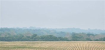 Remnants of Canadian wildfires seen locally