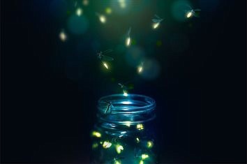 Fireflies are Indiana’s state insects, are they disappearing?