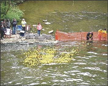 Duck Regatta 